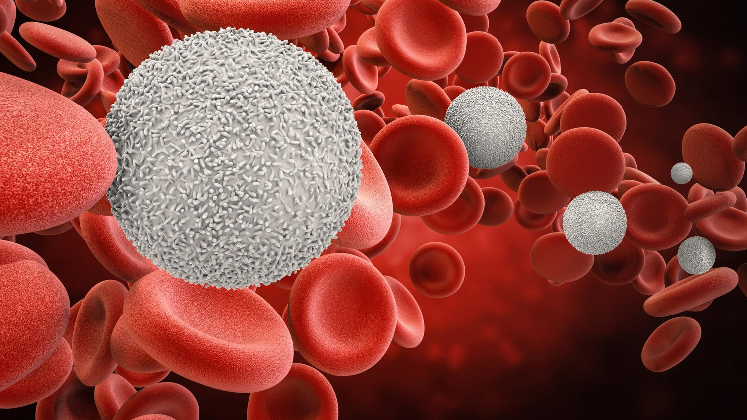 HEMATOLOGY